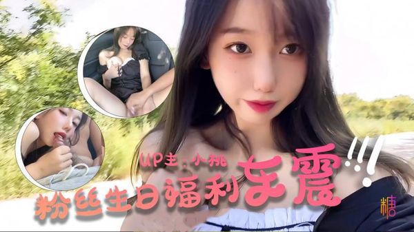 【糖心vlog】【小桃酱】-粉丝生日祭 - 车震福利