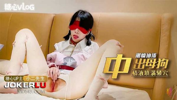 【糖心vlog】中出母狗 精液填满骚穴 小二先生